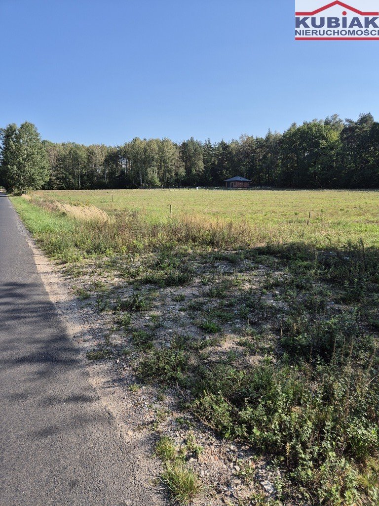 Działka budowlana na sprzedaż Gąba  4 300m2 Foto 3