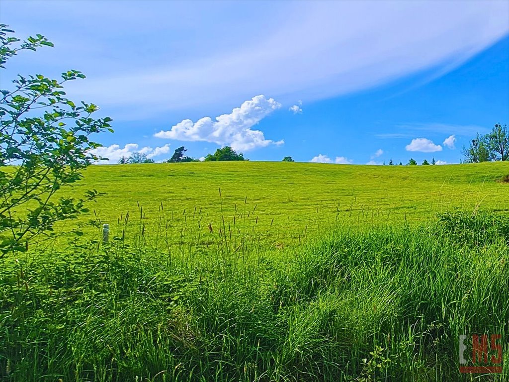 Działka inna na sprzedaż Morąg  2 925m2 Foto 4