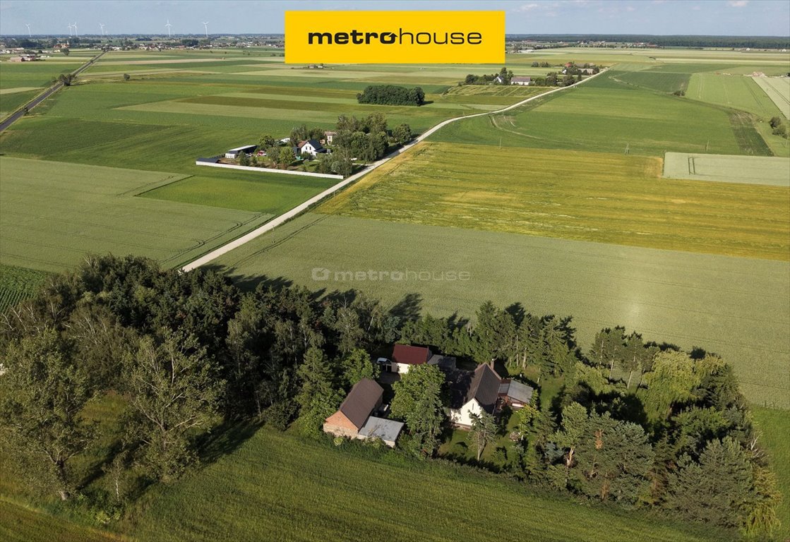 Urokliwe siedlisko 90 m² z dużą działką (pełna prywatność) Trzemeszno  90m2 Foto 1