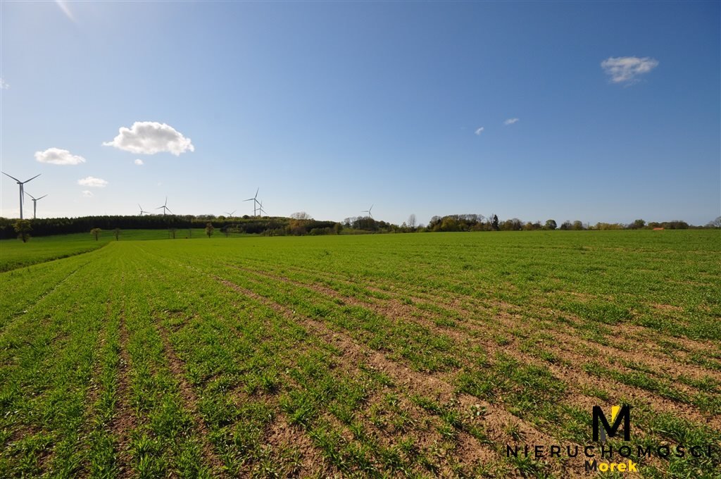 Działka budowlana na sprzedaż Bardy  60 400m2 Foto 15