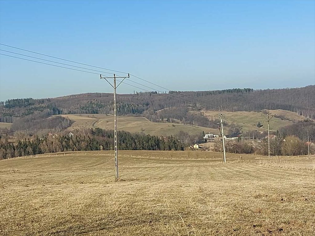 Działka inna na sprzedaż Walim, Niedźwiedzica  1 979m2 Foto 4