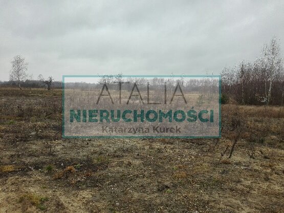 Na sprzedaż działka leśna 7 000 m² przy trasie Lubelskiej Majdan  7 000m2 Foto 1