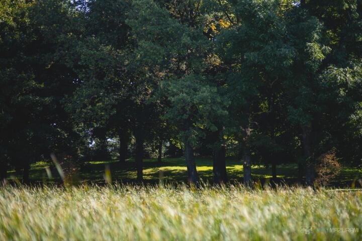 Dom na sprzedaż Czerwony Dwór  600m2 Foto 10