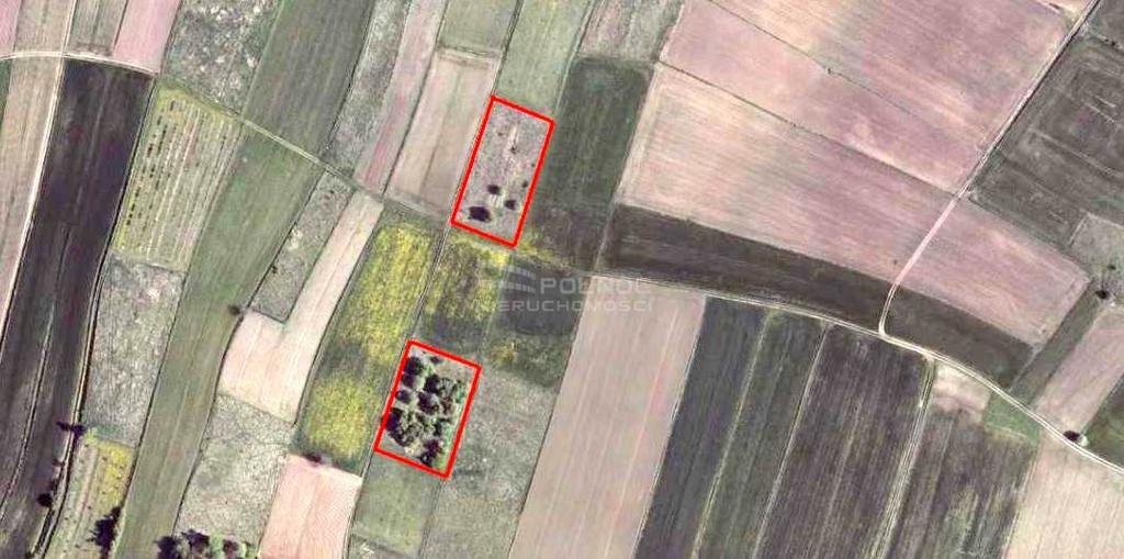 Działka rolna i leśna w Strzegowej 5884 m2 w atrakcyjnej cenie Strzegowa  5 884m2 Foto 1