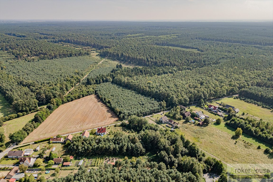 Działka budowlana na sprzedaż Przysiecz  2 926m2 Foto 5