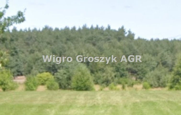 Działka rolna na sprzedaż Mokas  10 100m2 Foto 1