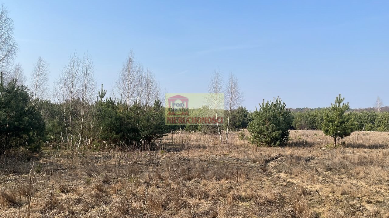 Działka inna na sprzedaż Pniewy  25 000m2 Foto 1