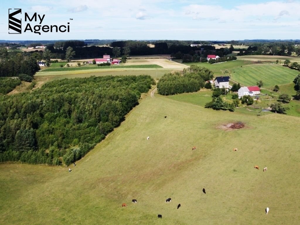 Działka budowlana na sprzedaż Łebno, Kartuska  1 050m2 Foto 3