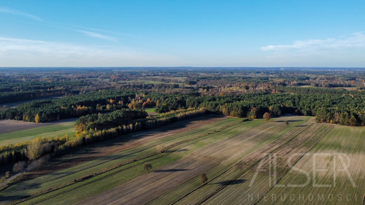 Działka budowlana na sprzedaż Bielino  71 988m2 Foto 8