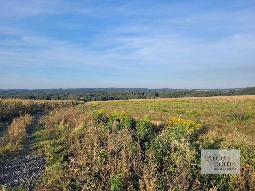 Działka budowlana na sprzedaż Gryfów Śląski, Krzewie Wielkie  1 336m2 Foto 4