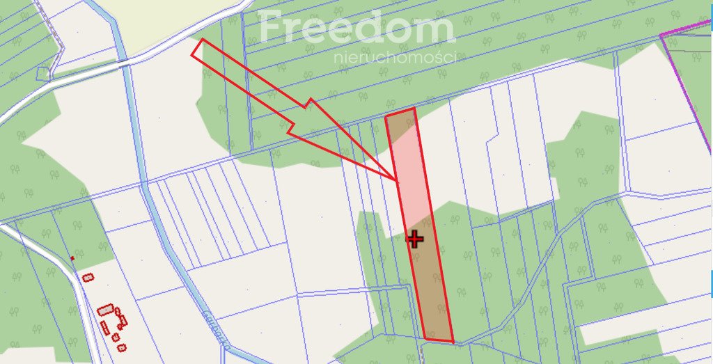 Działka leśna na sprzedaż Wisznice-Kolonia  2m2 Foto 1