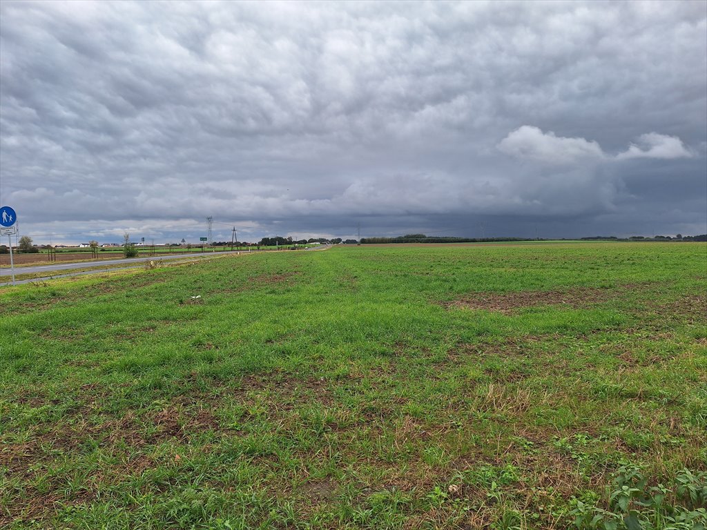 Działka budowlana na sprzedaż Lusówko, Dopiewska  2 560m2 Foto 1