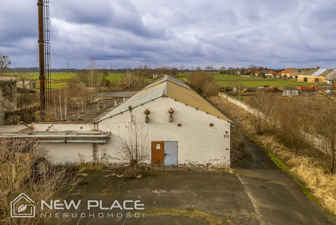 Magazyn na sprzedaż Jankowice Wielkie  2 052m2 Foto 2