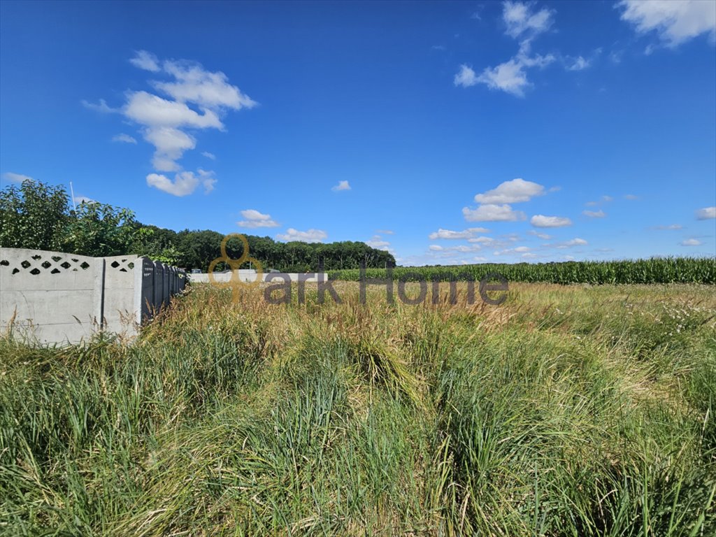 Działka budowlana na sprzedaż Bonikowo  696m2 Foto 2