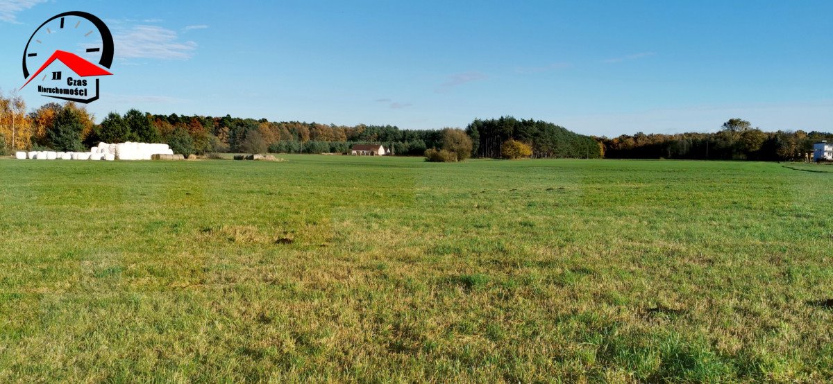 Działka gospodarstwo rolne na sprzedaż Gołąbki  138 960m2 Foto 13