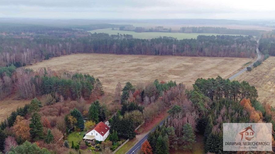 Działka inna na sprzedaż Pepłówek, Pepłówek  245 314m2 Foto 8