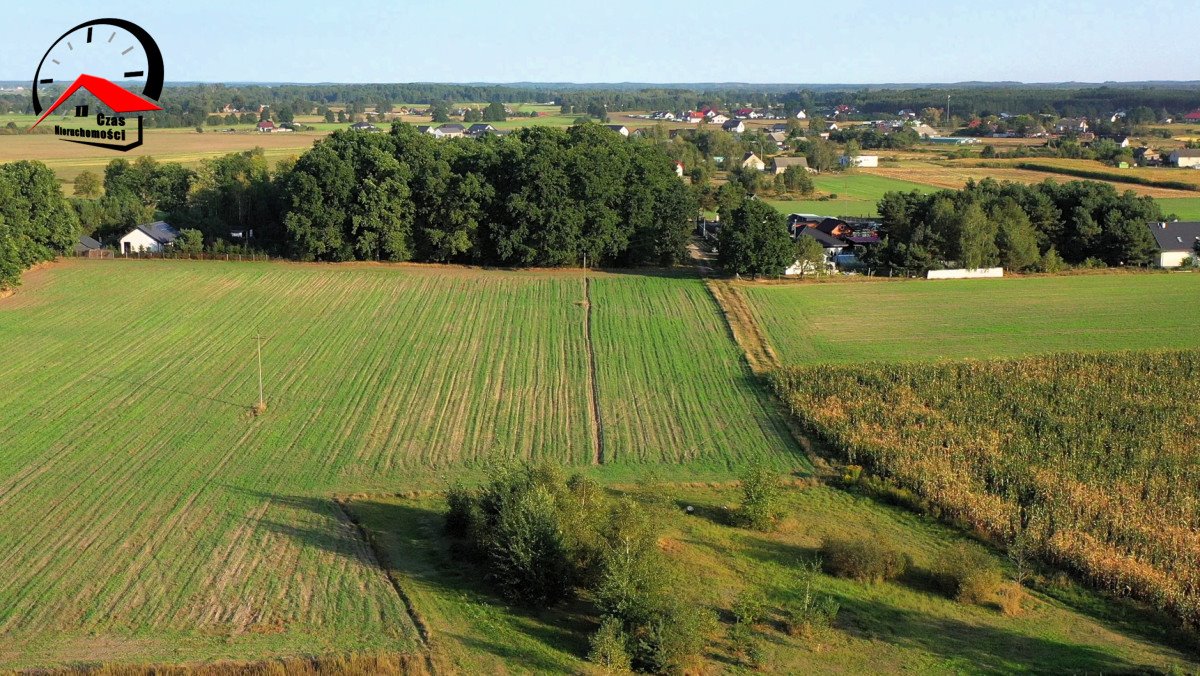 Działka budowlana na sprzedaż Rynarzewo  1 100m2 Foto 6