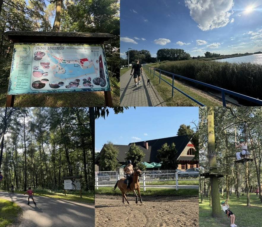 Działka budowlana na sprzedaż Ostrów Wielkopolski, Akacjowa  38 600m2 Foto 10