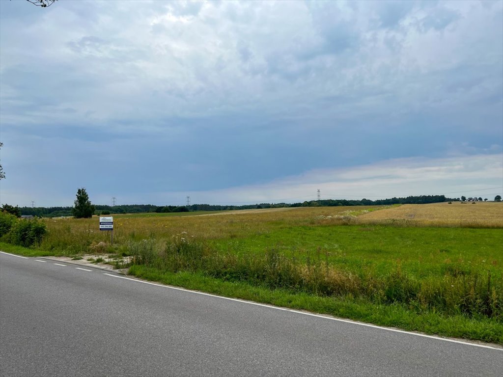 Działka przemysłowo-handlowa na sprzedaż Tokary, Przodkowska  1 100m2 Foto 7