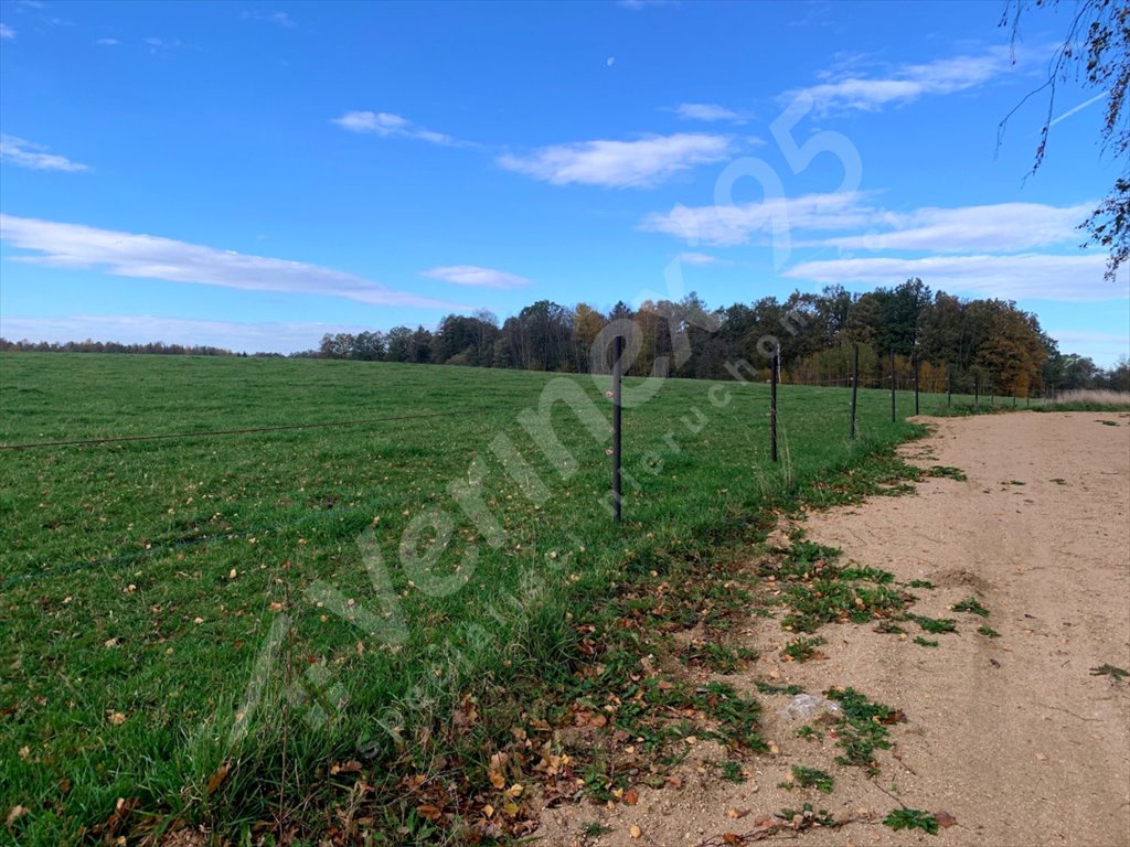 Działka budowlana na sprzedaż Jelenia Góra  1 877m2 Foto 2