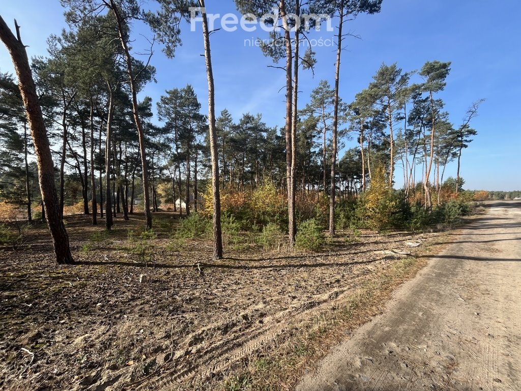 Działka budowlana na sprzedaż Czarne Błoto, Górna  1 000m2 Foto 2