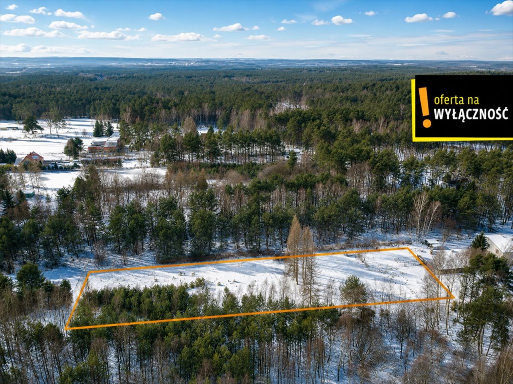 Do sprzedania działka 3 200 m² w lesie, blisko Kielc Kranów  3 200m2 Foto 1