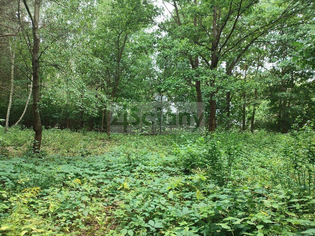 Na sprzedaż działka 937 m² w Komorowie z mediami i planem MN Komorów  937m2 Foto 1