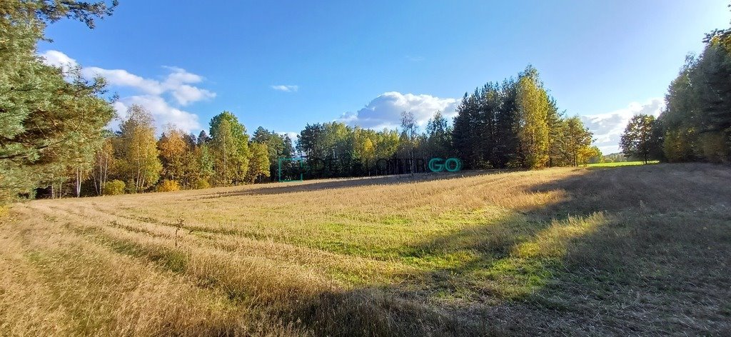 Działka rolna na sprzedaż Wojnowce  77 097m2 Foto 1