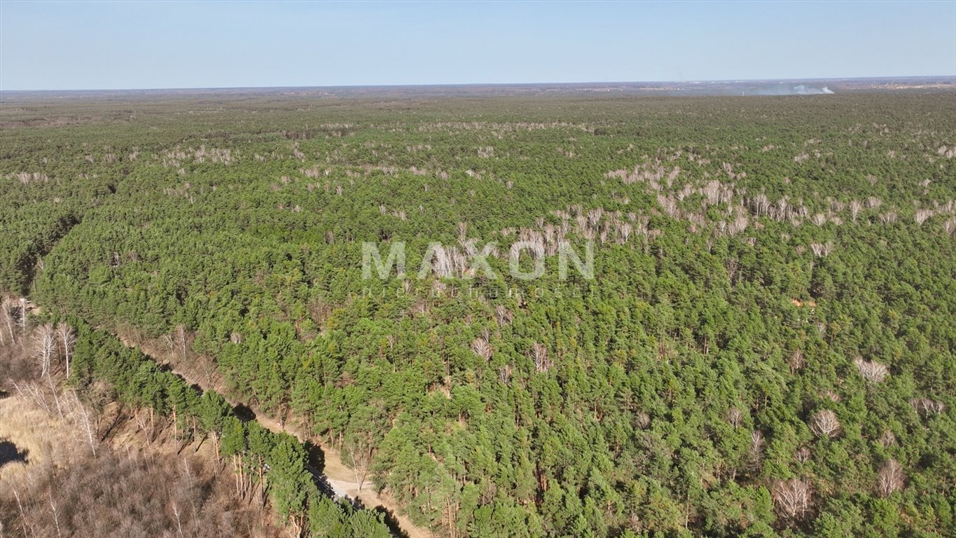 Działka budowlana na sprzedaż Wilga  9 027m2 Foto 5