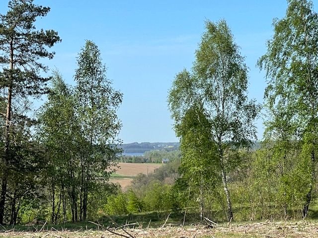 Działka budowlana na sprzedaż Sulęczyno  1 600m2 Foto 3