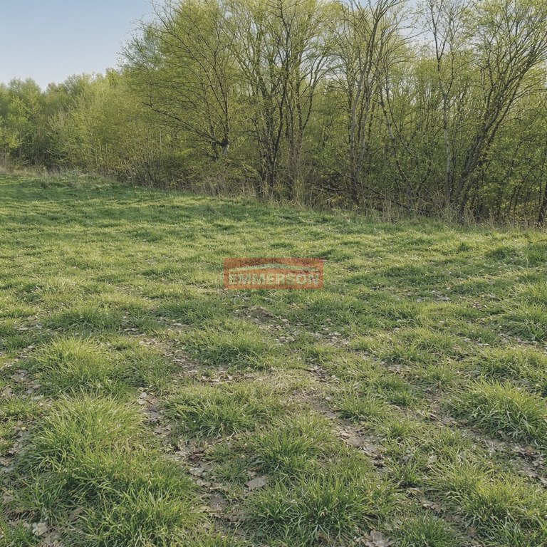 Zdjęcie 3