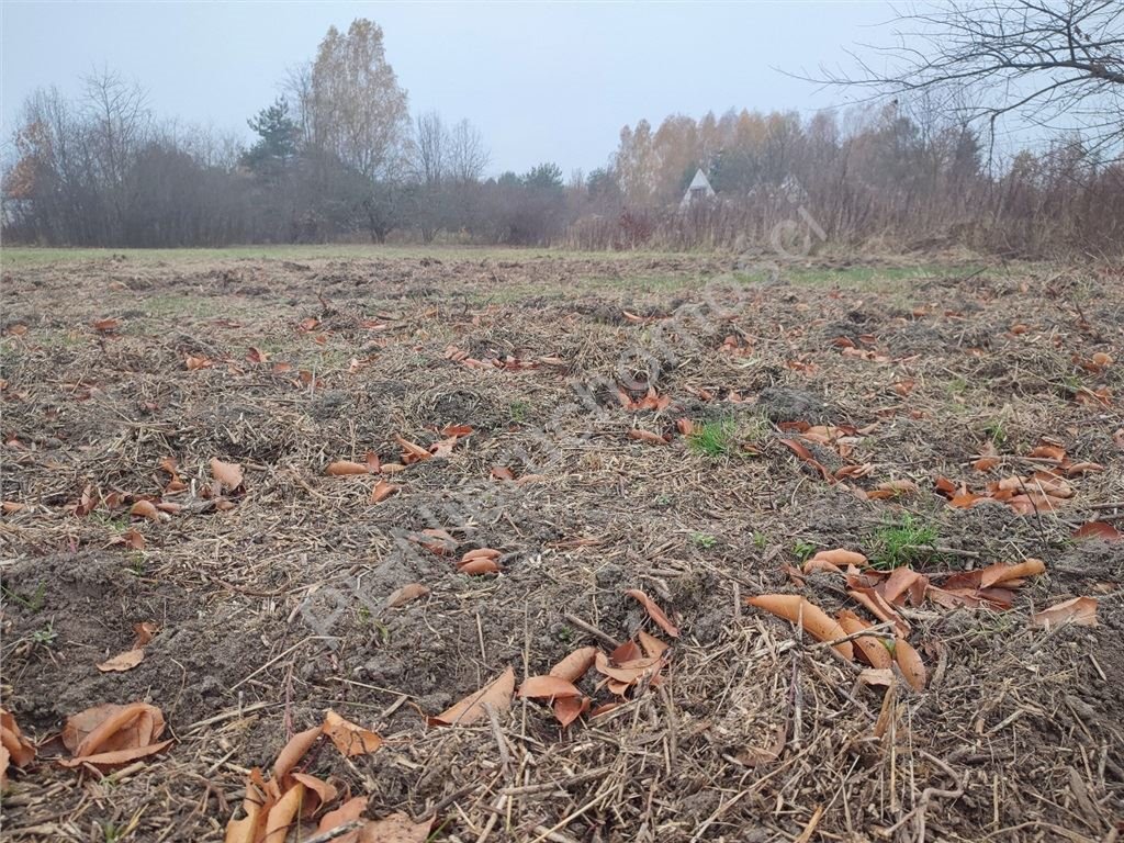 Działka budowlana na sprzedaż Rusiec  1 000m2 Foto 1