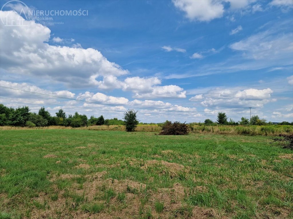 Działka budowlana na sprzedaż Krzeczów  1 100m2 Foto 5