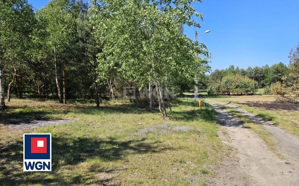 Działka budowlana na sprzedaż Jastrząb, Leśna  1 394m2 Foto 13