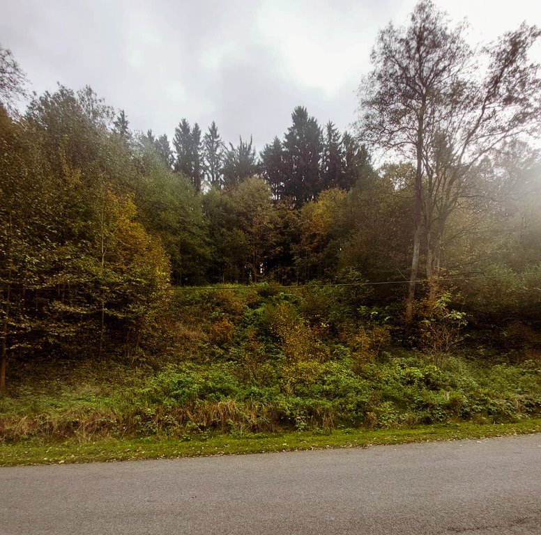 Działka inna na sprzedaż Różanka  7 500m2 Foto 10