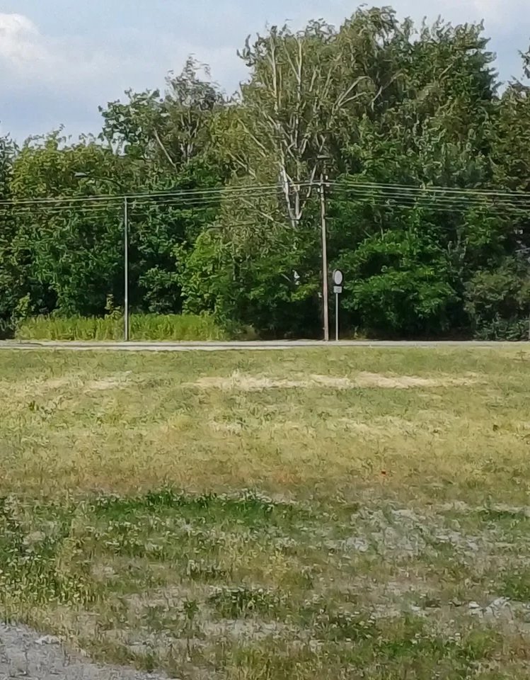 Atrakcyjna działka komercyjna 5000 m² z parkingiem i możliwością podziału Warszawa, Ursynów, Jeziorki Południowe  5 000m2 Foto 1