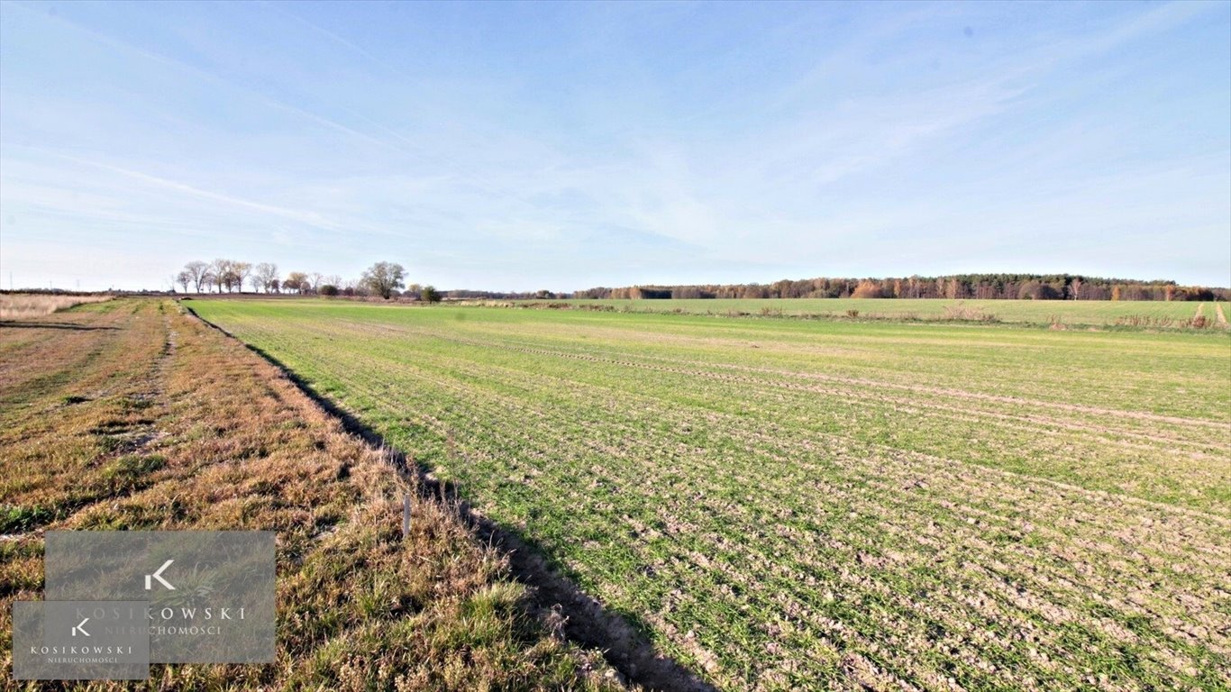 Działka inna na sprzedaż Namysłów  1 158m2 Foto 1