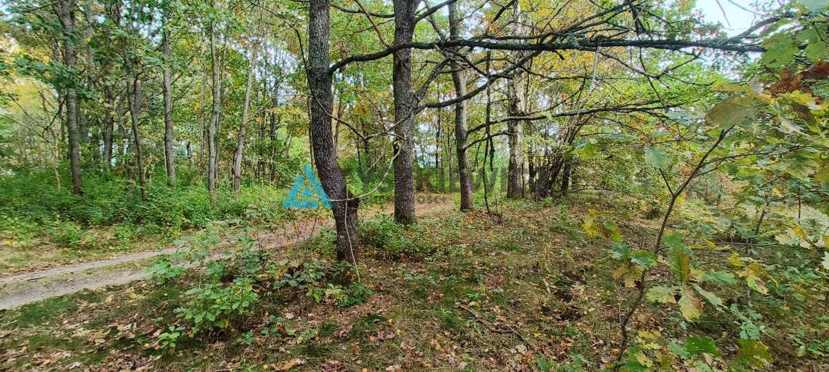 Działka budowlana na sprzedaż Krosnowo  1 579m2 Foto 9