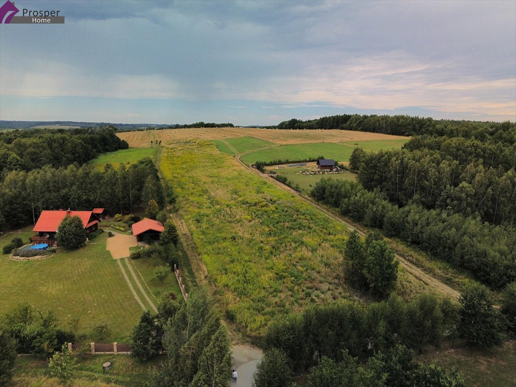 Zdjęcie 7