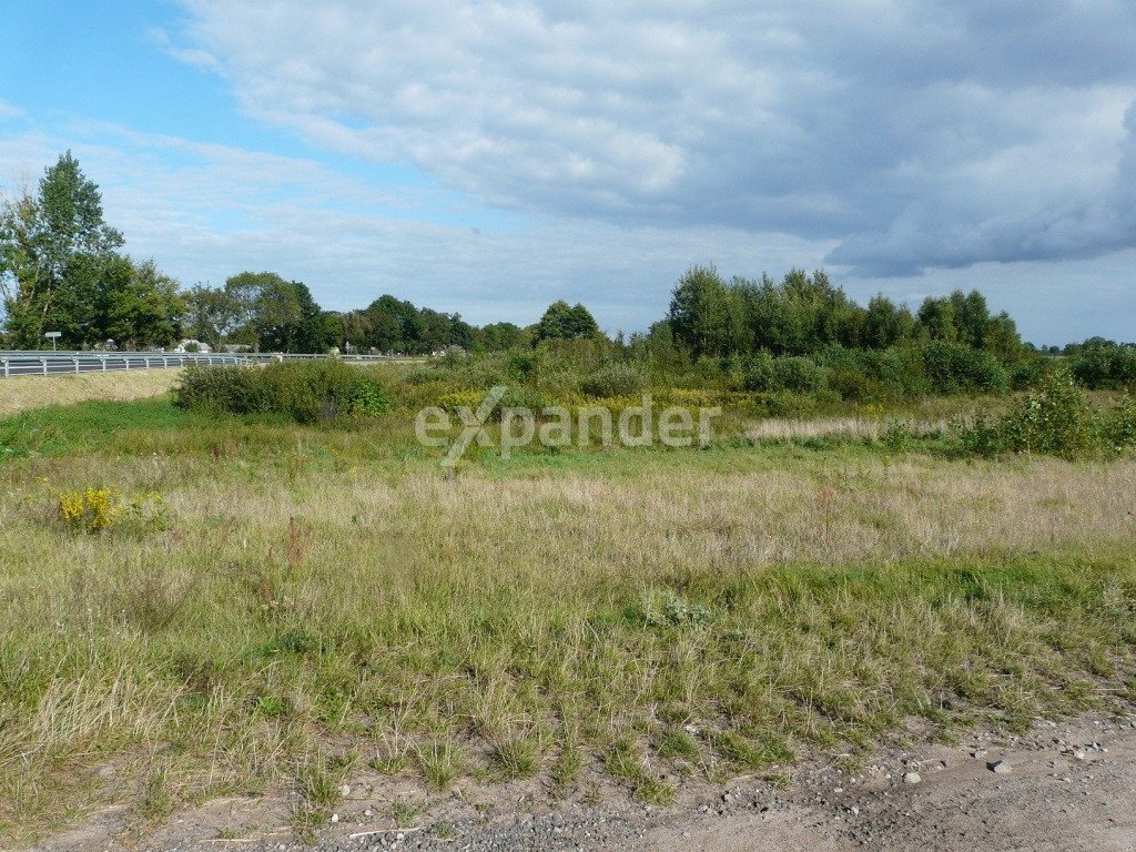 Działka 0,45 ha z dostępem do drogi krajowej nr 10 Blinno  4 500m2 Foto 1
