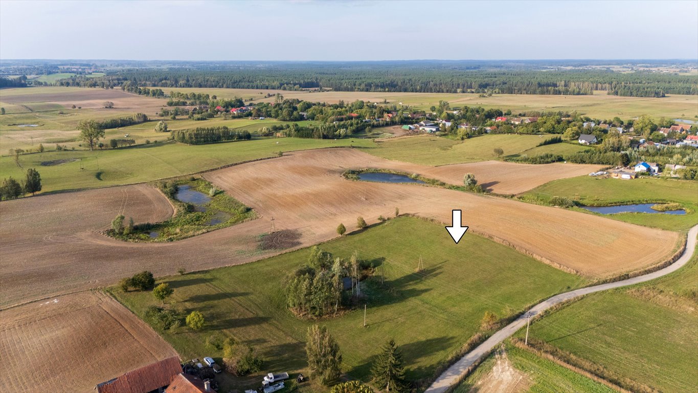 Działka rolna na sprzedaż Olszewki  13 200m2 Foto 6