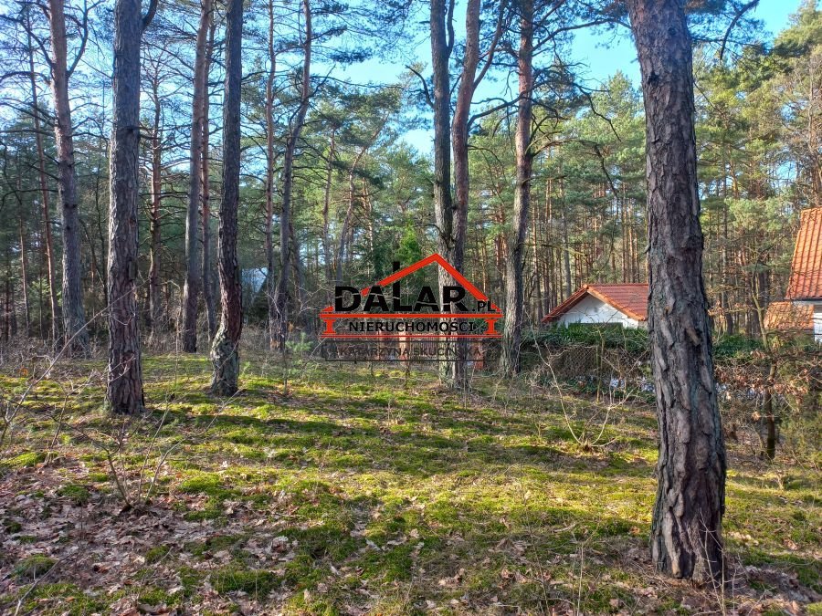 Działka 1308 m2 z domkiem, las, MPZP, Prażmów Jeziórko-Ustanówek  1 308m2 Foto 1