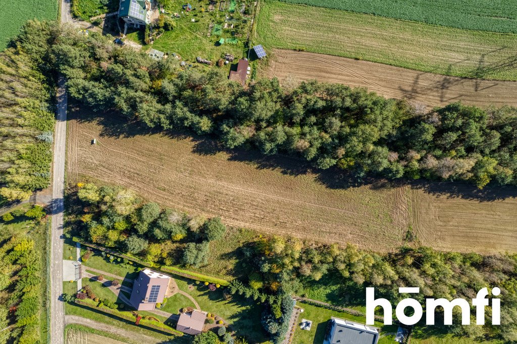 Działka budowlana na sprzedaż Brzeziny  4 100m2 Foto 5