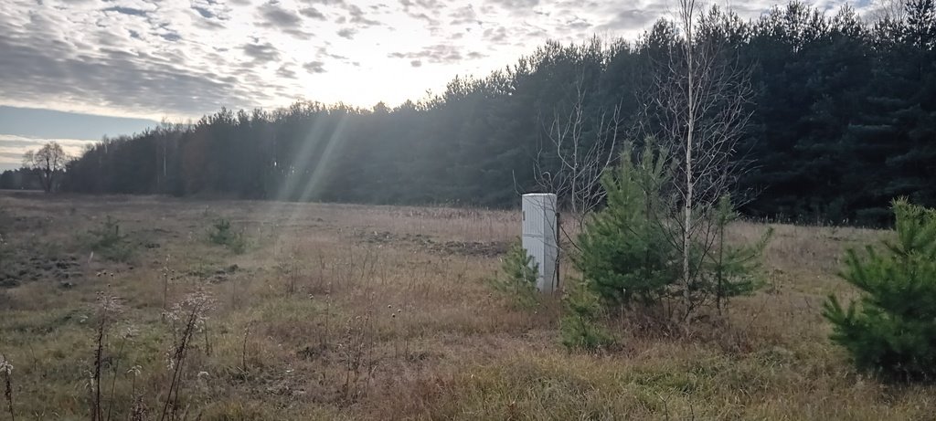 Działka budowlana na sprzedaż Redlanka  3 469m2 Foto 2