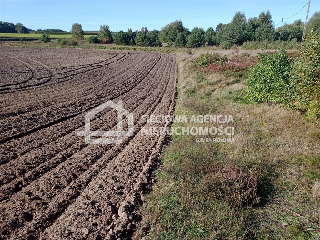 Duża działka w Kielnie z MPZP, prąd i blisko lasu Kielno  9 228m2 Foto 1