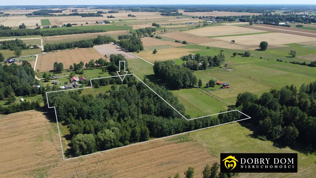 Działka budowlana na sprzedaż Rafałówka  3 000m2 Foto 3