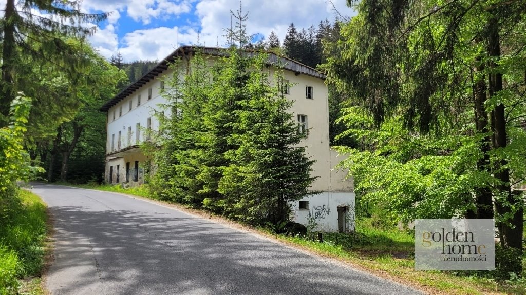 Działka inwestycyjna na sprzedaż Kletno, Śnieżnik Jaskinia Niedźwiedzia  19 400m2 Foto 4