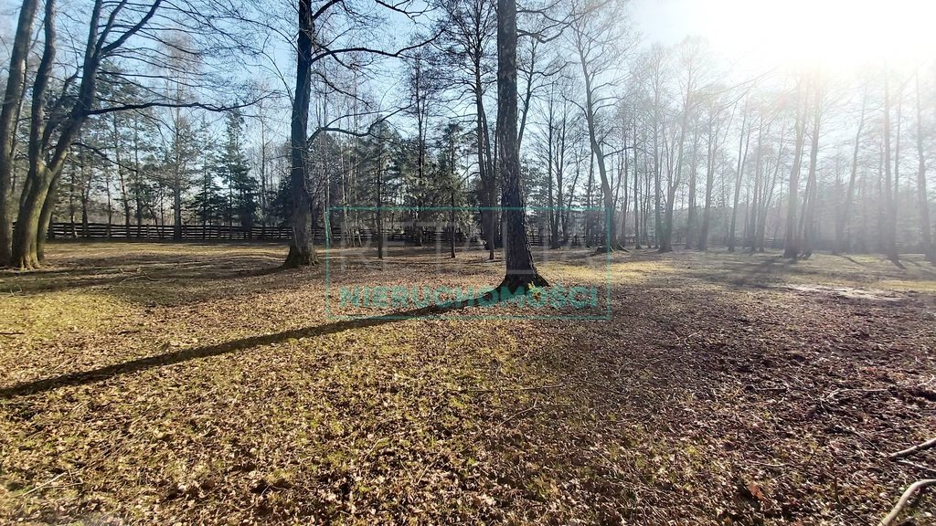 Działka rolna z możliwością zabudowy, 5600 m², ogrodzona Stare Budy  5 600m2 Foto 1