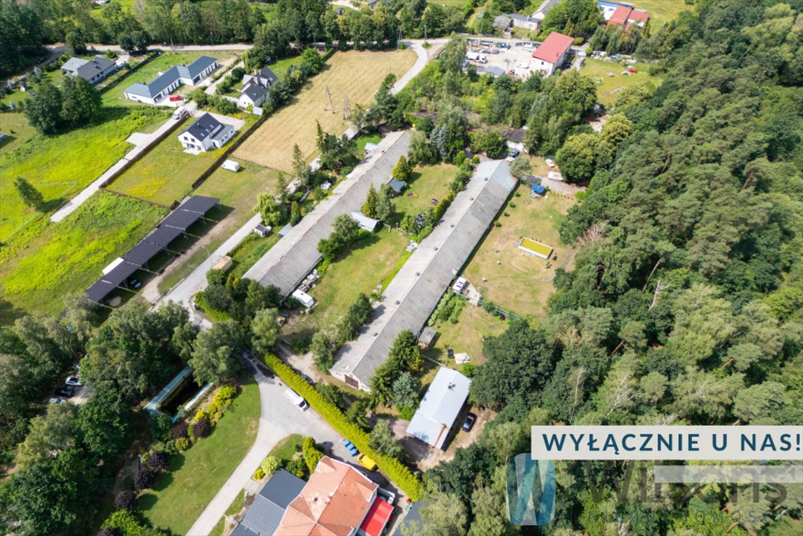 Zapraszam do zakupu działki 10 023 m² w Borowinie z szerokimi możliwościami rozwoju Borowina, Topolowa  10 023m2 Foto 1