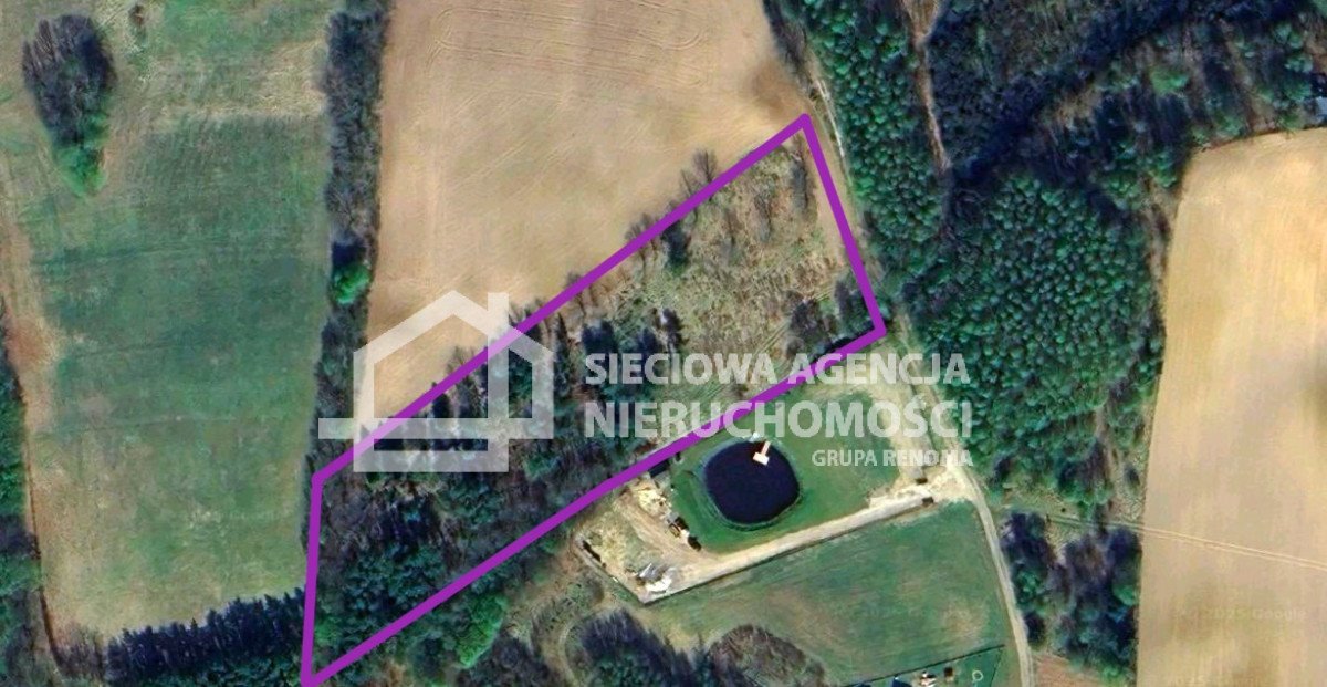 Polecam działkę 1,1 ha z lasem i zabudową nad strumykiem Brodnica Górna  11 494m2 Foto 1
